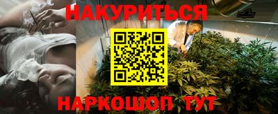 шишки Камышлов