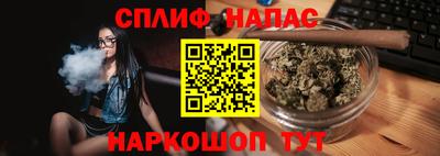 шишки Камышлов