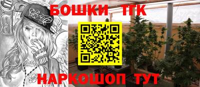 ПСИЛОЦИБИНОВЫЕ ГРИБЫ Канаш