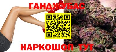 шишки Камышлов