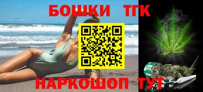 шишки Камышлов