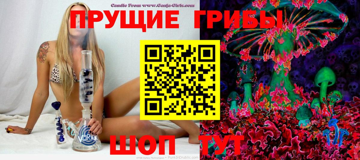 Галлюциногенные грибы MAGIC MUSHROOMS  Вход с VPN  Черногорск 